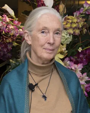 Jane Goodall